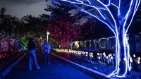 Pengunjung menikmati suasana penuh gemerlap di Lights Wonderland yang menghadirkan atraksi lampu tematik hingga 14 September 2025. Foto: ANTARA FOTO/Aprillio Akbar