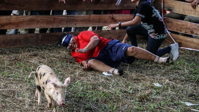 Warga berupaya menangkap seekor anak babi saat mengikuti lomba perayaan HUT ke-80 Kemerdekaan RI di Palangka Raya, Kalimantan Tengah, Sabtu (16/8/2025). Lomba menangkap seekor anak babi dengan tangan kosong dan mata tertutup tersebut diinisiasi oleh kerukunan warga Dayak Dusun Maanyan dan Lawangan (Dusmala) Kota Palangka Raya yang terinspirasi dari kebiasaan leluluhur mereka dalam berburu babi di hutan. ANTARA FOTO/Auliya Rahman/foc.