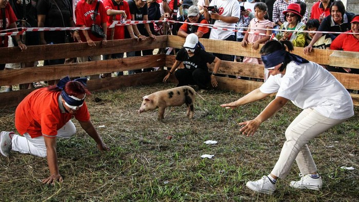 Tradisi Unik Tangkap Anak Babi Meriahkan HUT ke-80 RI di Palangka Raya Warga berupaya menangkap seekor anak babi saat mengikuti lomba perayaan HUT ke-80 Kemerdekaan RI di Palangka Raya, Kalimantan Tengah, Sabtu (16/8/2025). Lomba menangkap seekor anak babi dengan tangan kosong dan mata tertutup tersebut diinisiasi oleh kerukunan warga Dayak Dusun Maanyan dan Lawangan (Dusmala) Kota Palangka Raya yang terinspirasi dari kebiasaan leluluhur mereka dalam berburu babi di hutan. ANTARA FOTO/Auliya Rahman/foc.