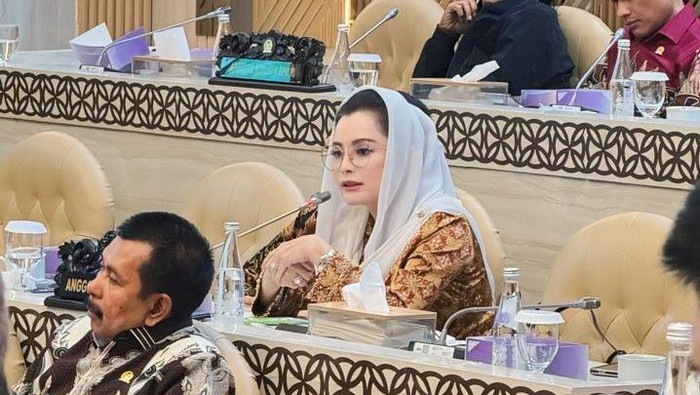 Anggota Komisi V DPR RI, Novita Wijayanti