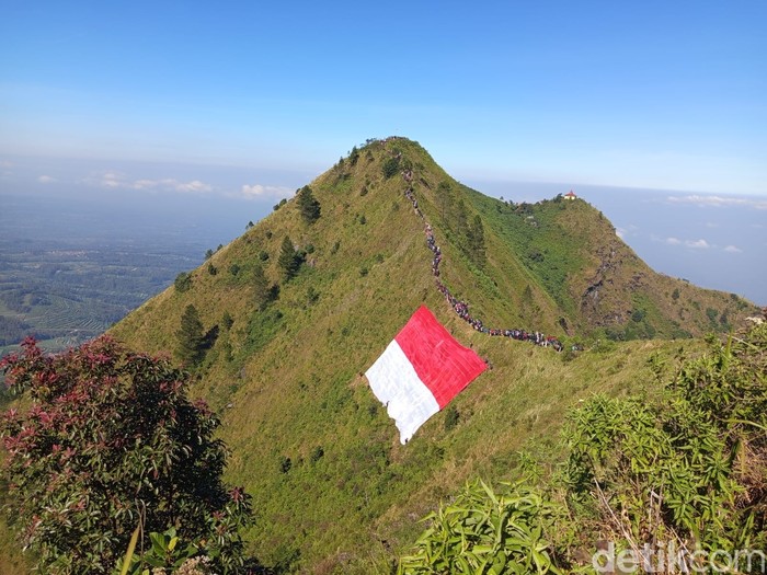 Penampakan bendera Merah Putih raksasa 79x45 meter yang dikibarkan di Gunung Andong, Magelang, Minggu (17/8/2025).