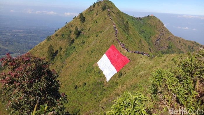 Penampakan bendera Merah Putih raksasa 79x45 meter yang dikibarkan di Gunung Andong, Magelang, Minggu (17/8/2025).
