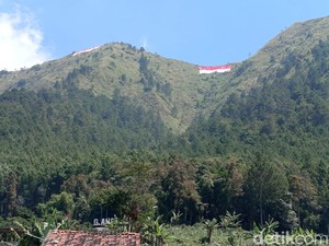 Jalur Pendakian Gunung Andong Ditutup Mulai Hari Ini