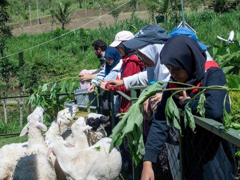 Lokasi wisata keluarga di Lereng Gunung Kawi