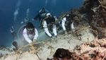 Momen PIS Gelar Upacara Bendera di Bawah Laut-Transplantasi Terumbu Karang