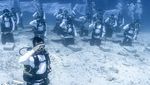 Momen PIS Gelar Upacara Bendera di Bawah Laut-Transplantasi Terumbu Karang