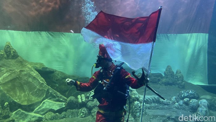 Pertunjukan pengibaran bendera HUT ke-80 RI di Aquarium Indonesia Pangandaran.