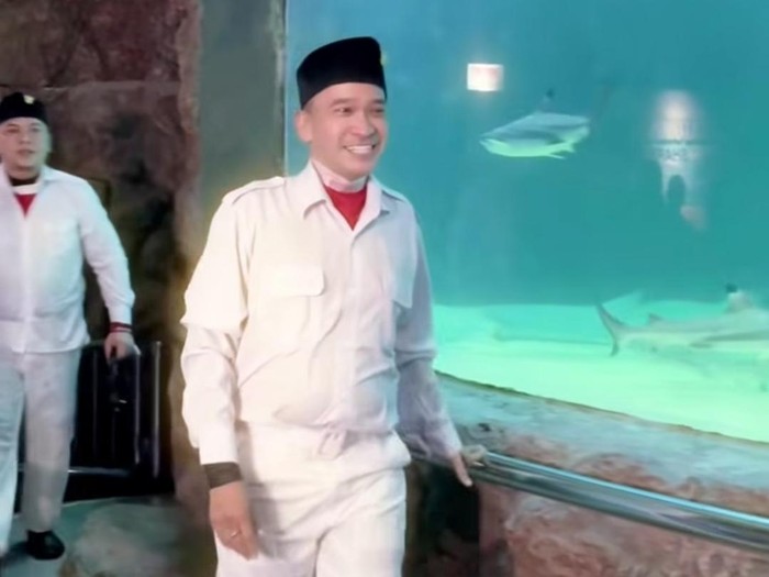Ruben Onsu mengibarkan bendera Merah Putih di akuarium raksasa berisikan hiu di kawasan Jakarta Utara, Minggu (17/8/2025).