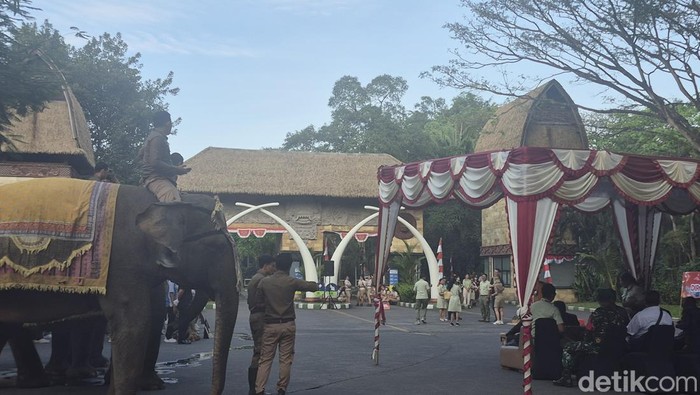 Upacara memperingati hari kemerdekaan HUT RI ke-80 di Taman Safari Bali, Gianyar, yang diikuti sejumlah satwa.