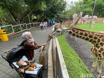 Ramaikan Peringatan HUT ke-80 RI, Objek Wisata Kota Batu Berikan Diskon