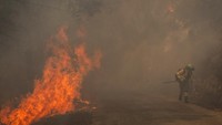 Api diketahui sudah melahap area hutan luas dan mengancam permukiman di sekitarnya. REUTERS/Mikel Konate