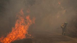 Hutan Galicia Dilalap Api, Petugas Berjuang Padamkan Kebakaran