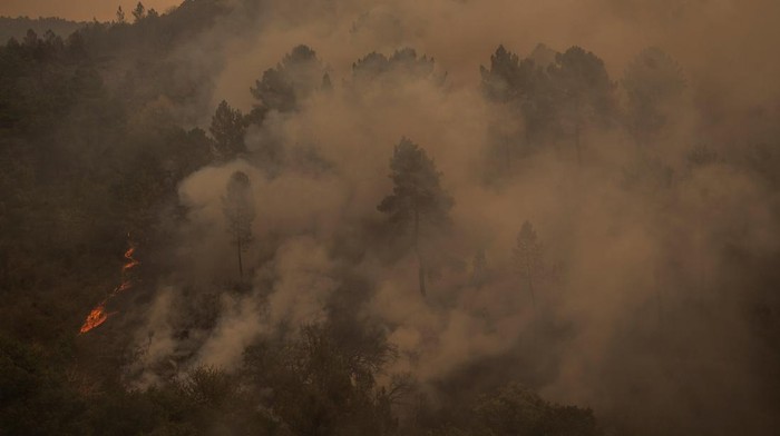 Hutan Galicia Dilalap Api, Petugas Berjuang Padamkan Kebakaran Kebakaran hutan melanda wilayah Galicia, Spanyol, tepatnya di desa Larouco, Lugo, pada Minggu (17/8/2025). Kobaran api yang cepat meluas membuat petugas pemadam kebakaran dari BRICA (Brigade Bantuan Khusus untuk Kebakaran Hutan di Andalusia) Granada harus bekerja keras menembus garis depan api untuk menjinakkan si jago merah. REUTERS/Mikel Konate