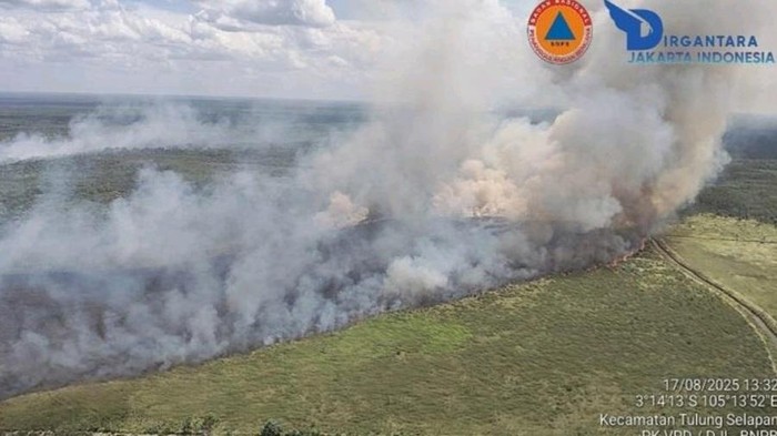 Karhutla terjadi di Sumatera Selatan