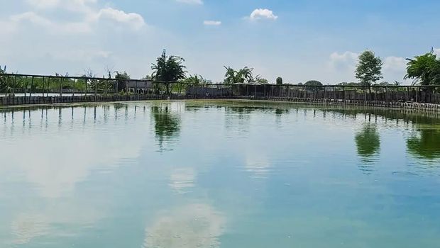 Kolam Pemancingan di daerah Surabaya Barat