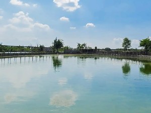 Duduk Perkara Versi Lurah soal Warga Dipolisikan Usai Tangkap Maling Ikan