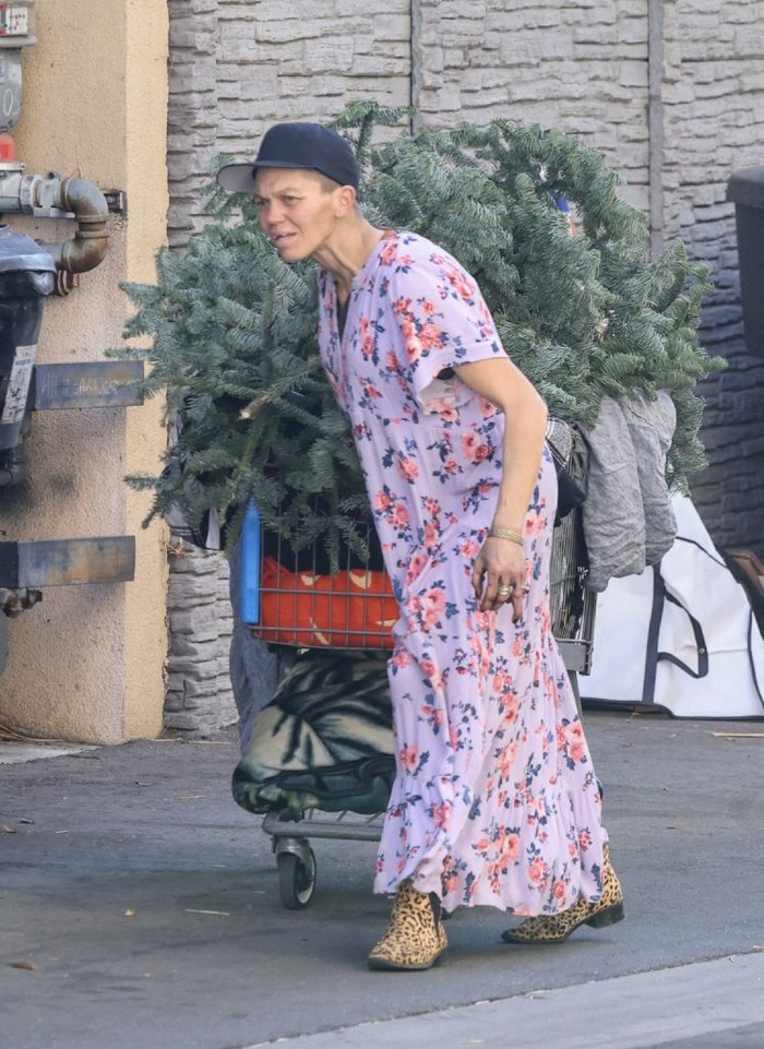 BEVERLY HILLS, CA - JANUARY 1: Loni Willison is seen out and about on January 1, 2025 in Beverly Hills, California. (Photo by MEGA/GC Images)