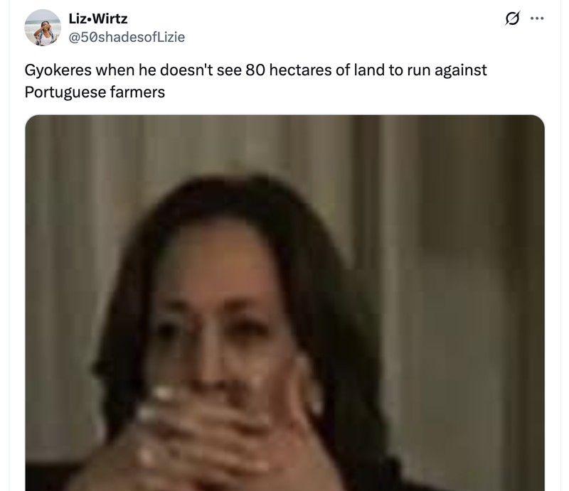 Meme Viktor Gyokeres