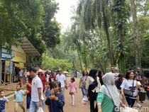Video Ragunan Buka hingga Malam? Ini Kata Pramono
