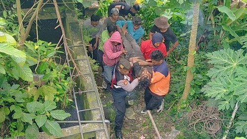 Proses evakuasi buruh proyek terjatuh ke jurang di Ubud, Gianyar, Senin (18/8/2025). (Dok. Polsek Ubud)