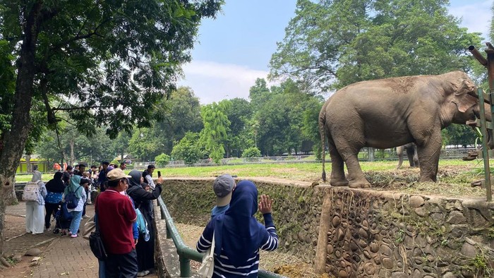 Suasana Taman Margasatwa Ragunan pada 18 Agustus 2025.