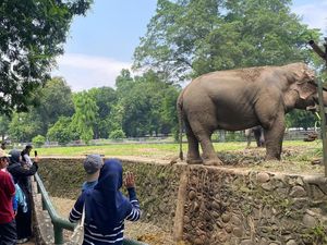 Anak Sedih Kalah Lomba 17-an, Solusinya Liburan ke Ragunan