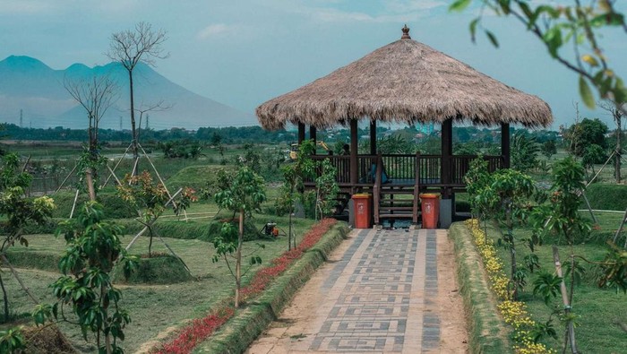 Taman Hutan Kota Jeruk