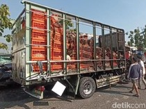 Truk Muat Ayam Terbakar di Tol Ngawi, 2.000 Ekor Terpanggang-2 Luka