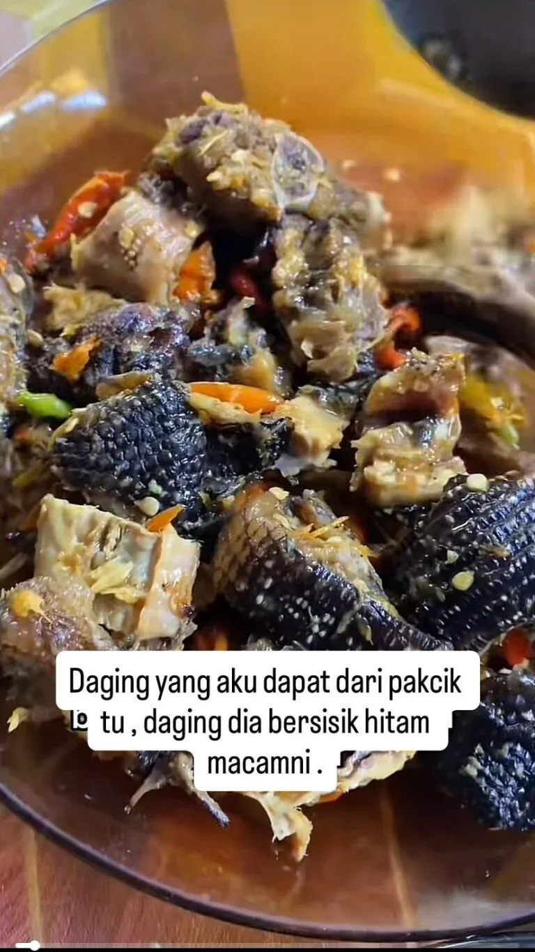 Wanita Ini Duga Diberi Kari Daging Biawak oleh Orang Asing