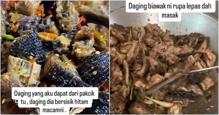 Wanita Ini Duga Diberi Kari Daging Biawak oleh Orang Asing