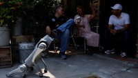 Agenda Waldog ke depan meliputi kunjungan ke sekolah, permukiman, dan ruang publik lainnya. Robot ini diharapkan menumbuhkan budaya peduli hewan. Foto: REUTERS/Daniel Becerril