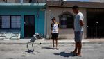 Aksi Anjing Robot Kampanyekan Peduli Hewan Terlantar di Meksiko
