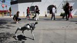 Aksi Anjing Robot Kampanyekan Peduli Hewan Terlantar di Meksiko