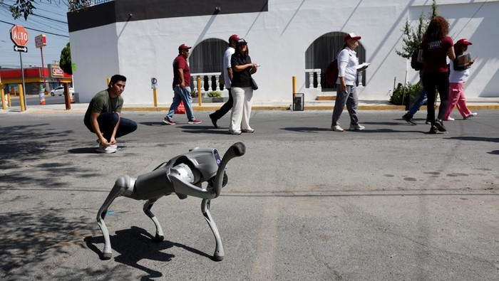 Waldog, a robotic dog used by Mexican Senator Waldo Fernandez as a tool to raise awareness about animal adoption and abuse, greets people during a street tour, in Guadalupe, Mexico, August 8, 2025. REUTERS/Daniel Becerril