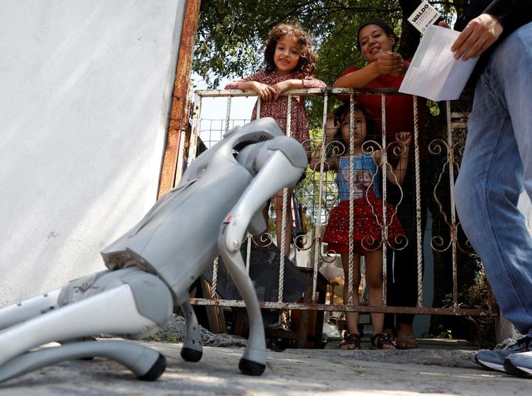Aksi Anjing Robot Kampanyekan Peduli Hewan Terlantar di Meksiko
