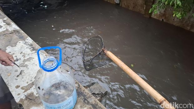 Banjir di Jalan Menteri Supeno Umbulharjo, Jogja, surut pukul 17.00 WIB. Kawasan ini sempat banjir setinggi lutut sekitar pukul 15.30 WIB.