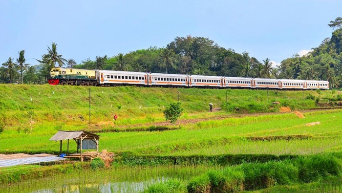 KA Pandanwangi melintasi area Persawahan