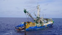 Selain itu, kapal menggunakan alat penangkapan ikan jaring pukat cincin (purse seine) modern yang berdimensi besar dengan panjang tali ris sekitar 1,3 kilometer. Dok. Ditjen PSDKP KKP