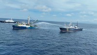 Hasil pemeriksaan menunjukkan bahwa Fishing Vessel (FV) Princess Janice-168 berukuran 754 GT tidak memiliki dokumen perizinan berusaha subsektor penangkapan ikan dari Pemerintah Indonesia. Dok. Ditjen PSDKP KKP