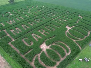 Kreatif dan Romantis! Pria Bikin Labirin di Ladang Jagung untuk Melamar Pacar