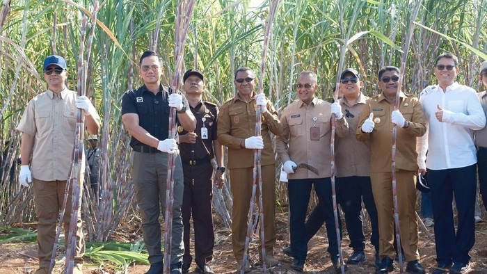 Menko AHY dan Menteri Imigrasi Iftitah meninjau kebun tebu di Sumba Timur, NTT, Selasa (19/8/2025).