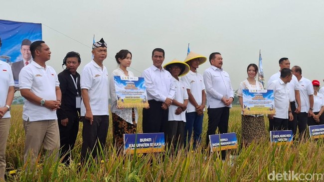 Lahan Sitaan Benny Tjokro Bakal Hasilkan 2.640 Ton Gabah