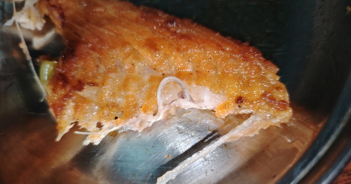 Ikan salmon ada cacing parasit