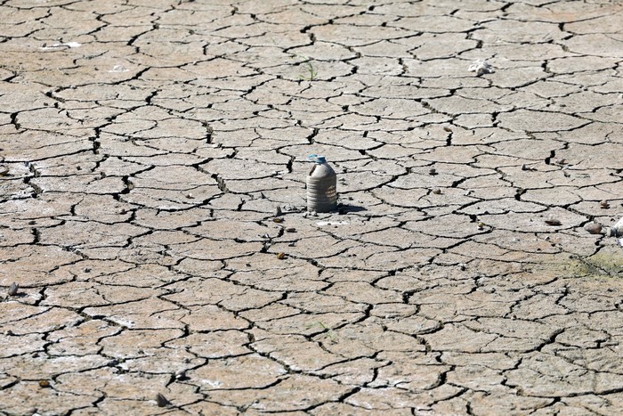 A person sits under an umbrella with fishing rods set up near the receding shoreline of Turkmenli Dam, as drought conditions continue to affect water levels, in Marmara Ereglisi, in the northwestern Tekirdag province, Turkey, August 11, 2025. REUTERS/Murad Sezer