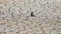 Dari udara tampak garis pantai waduk semakin mundur, menyisakan hamparan dasar danau yang retak-retak. Bebatuan dan sedimen yang sebelumnya berada di bawah air kini terbuka jelas. REUTERS/Murad Sezer  