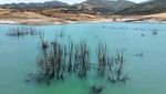 Musim Panas Ekstrem, Waduk di Turki Hampir Mengering