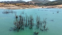 Musim kemarau berkepanjangan memperparah kondisi kekeringan di wilayah Marmara Ereglisi, Provinsi Tekirdag, Turki bagian barat laut. Waduk Turkmenli yang menjadi sumber air penting bagi warga setempat kini menyusut drastis. REUTERS/Murad Sezer  