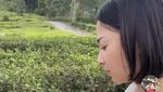 Nikita Willy Jajan Rujak Bebek, Issa Ikut Penasaran!