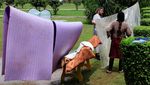 Pakistan Mulai Deportasi Pengungsi Afghanistan