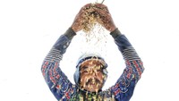 Bagi sebagian besar petani Pulo Timaha, padi bukan sekadar komoditas ekonomi, tetapi juga identitas dan jantung kehidupan.